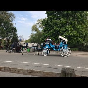 Meet your Posher, Evie